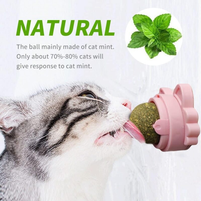 Catnip Ball Toy for Your Pet | 3 Pack Catnip Ball | Catnip Ball Dental Hygiene Toy | Catnip Wall Mount | Catnip Balls for Indoor Cats | Catnip Balls for cat Wall