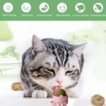 Catnip Ball Toy for Your Pet | 3 Pack Catnip Ball | Catnip Ball Dental Hygiene Toy | Catnip Wall Mount | Catnip Balls for Indoor Cats | Catnip Balls for cat Wall