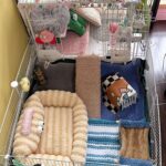 4 Pcs Guinea Pig Cage Liner, Bunny Washable Mats Rug Guinea Pig Fleece Bedding Reusable Rabbit Liner Small Animal Sleeping Bed for Bunny Ferret Rat Chinchilla