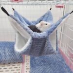 3-piece set rabbit hammock cotton nest double-layer thickened guinea pig chinchilla sugar glider hamster passage hiding nest small pet supplies
