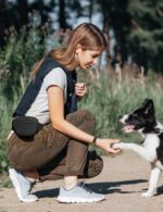 Dog Treat Pouch with Training Clicker, Upgrade Stronger Magnetic Closure to Avoid Spilling, 1.67 Cup Silicone Treat Bag Fanny Pack with Waist Belt for Pet Training Walking