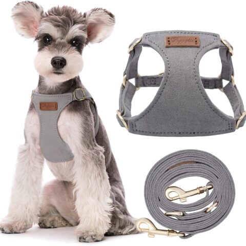 Puppytie No Pull Dog Harness with Multifunction Dog Leash,Soft Adjustable No Choke Escape Proof Pet Harness Vest for Medium Dogs or Large Dogs,Silver Grey,M