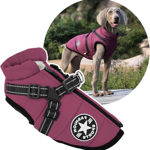 2 in 1 Large Dog Winter Coat Harness, Outdoor Warm Large Dog Jacket, Cold Weather Padded Dog Vest Apparel Clothes for Large Dogs