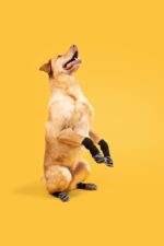 Non-Slip Dog Socks for Hardwood Floors - Extra-Thick Grip That Works Even When Twisted - Prevents Licking, Slipping, and Great for Dog Paw Protection